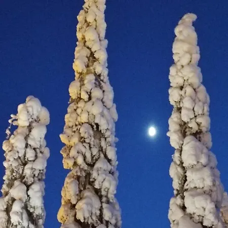 Vuosselin Taehti Apartman